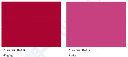 Atlas Print Red B
