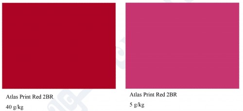 Atlas Print Red 2BR