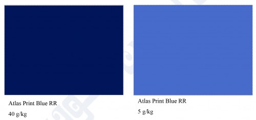 Atlas Print Blue RR